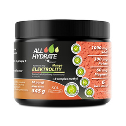 Aliness ALLHydrate Elektrolity + B complex methyl 345g - 50 porcji - Mango