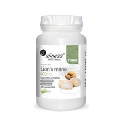 Aliness Lions Mane Ekstrakt 40/20 400mg 90kaps